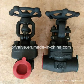 API602 Forged Steel A105 Welding Gate Valve